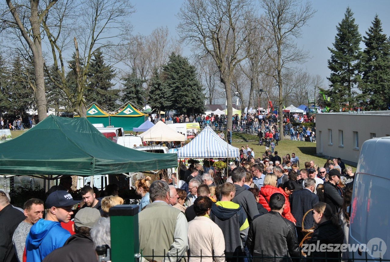 Tłumy w Marszewie. Od sadzonek po traktory... - Zdjęcie główne
