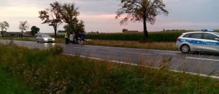 Kuchary. Wypadek na krajowej 12. Auto wpadło do rowu - Zdjęcie główne