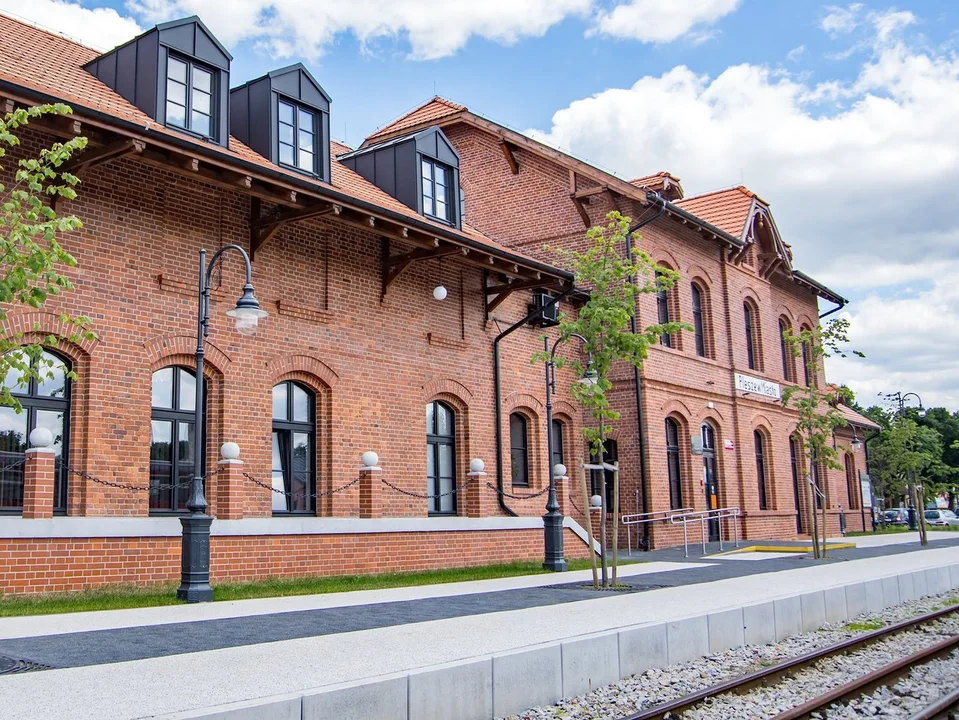 Biblioteka zaprasza na Ekologiczny Festyn. Sprawdź, co się będzie działo - Zdjęcie główne