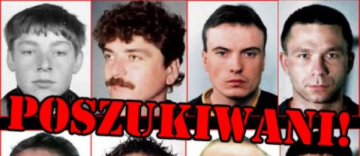 Poszukiwani - Zdjęcie główne