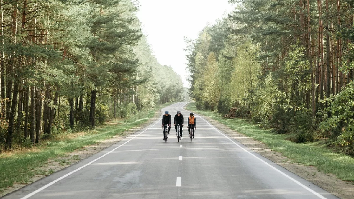 Trasy rowerowe w Wielkopolsce. Zobacz najlepsze szlaki na majówkę 2026