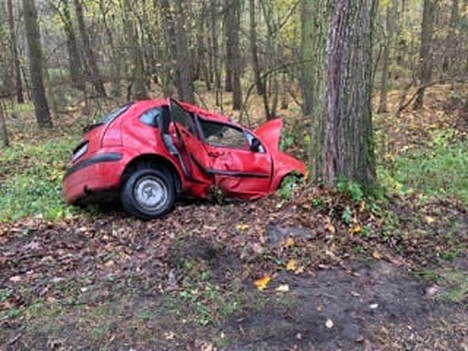 Wypadek na drodze. Samochód osobowy uderzył w drzewo [ZDJĘCIA] - Zdjęcie główne