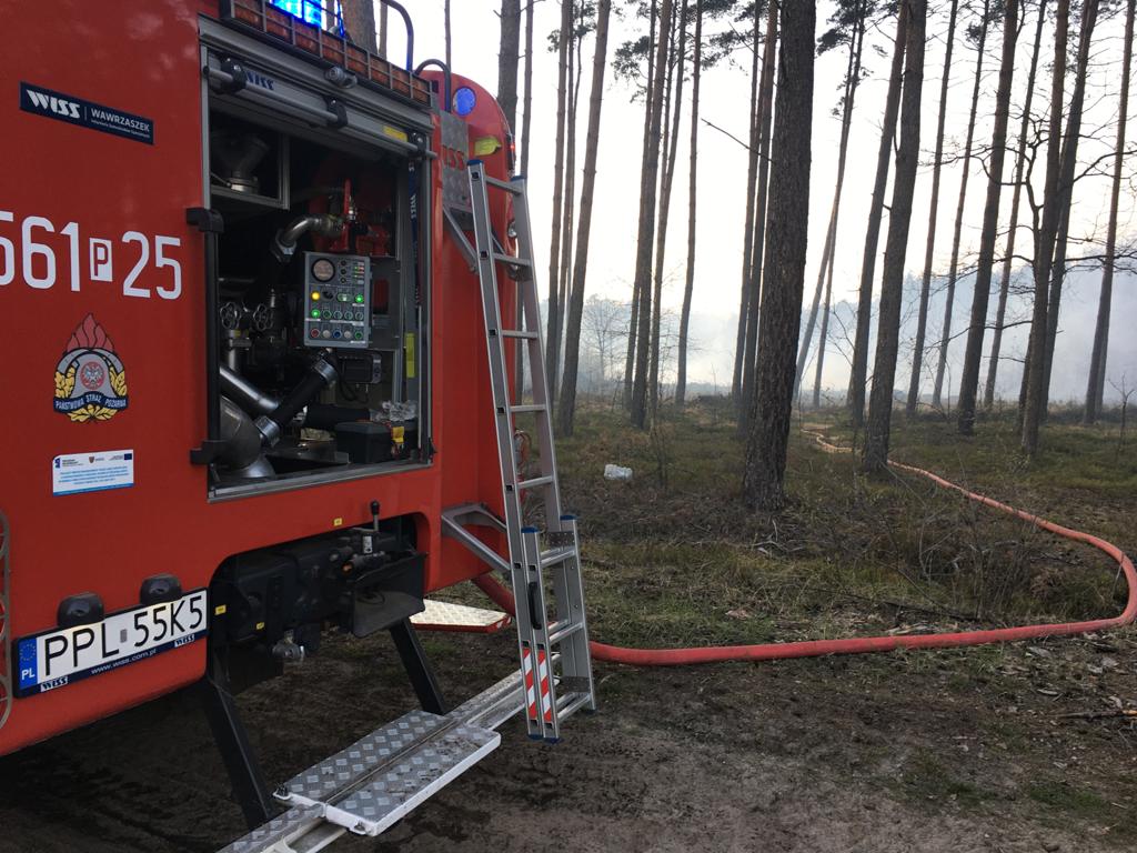 21 kwietnia doszło do pożaru lasu w miejscowości Grab w powiecie pleszewskim