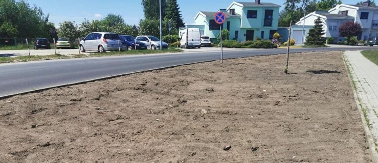 Pleszew. W mieście powstanie pierwsza kwietna łąka - Zdjęcie główne