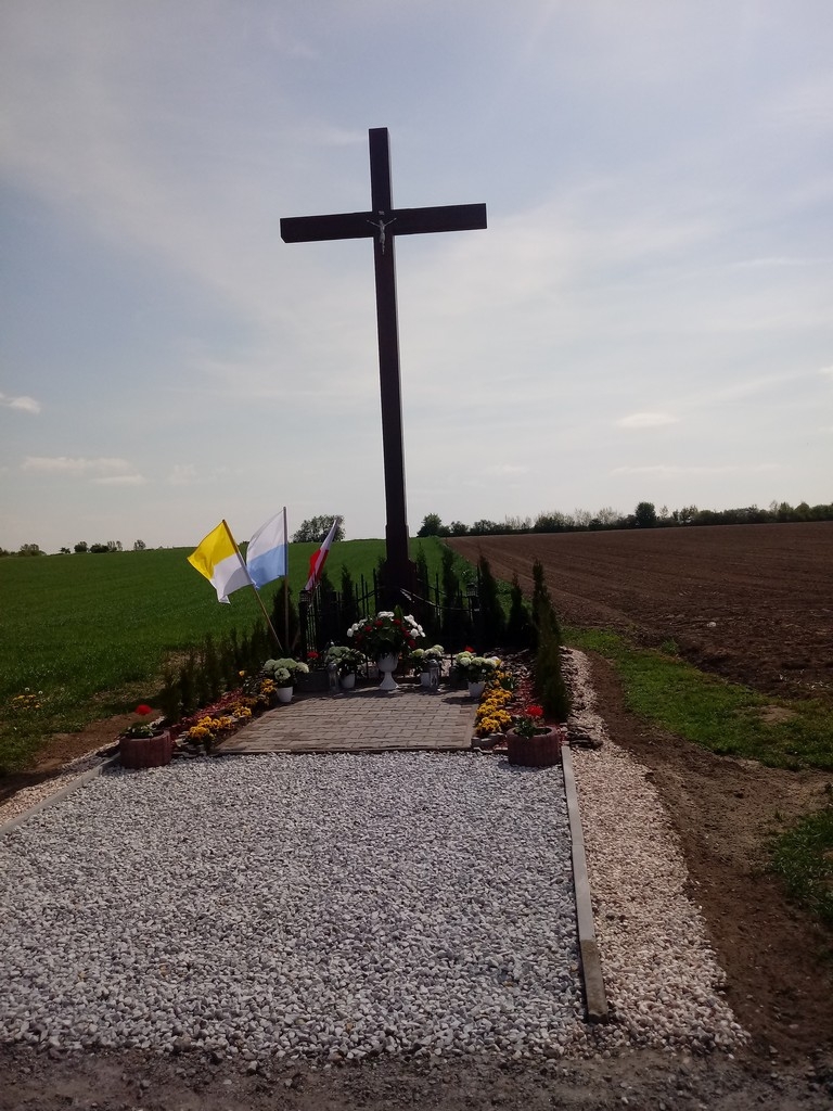 Poświęcenie krzyża w Trzebowej - Zdjęcie główne