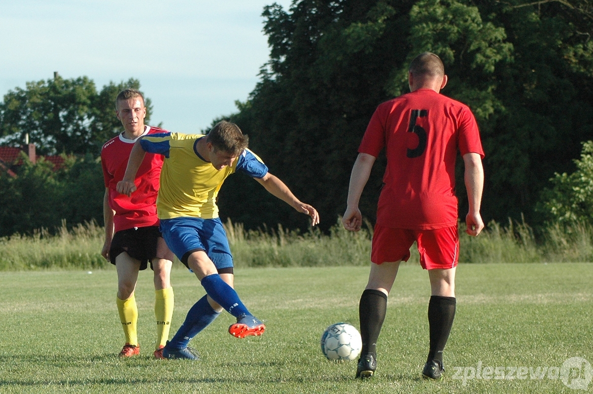 Pleszewska Liga Piłki Nożnej V - Zdjęcie główne