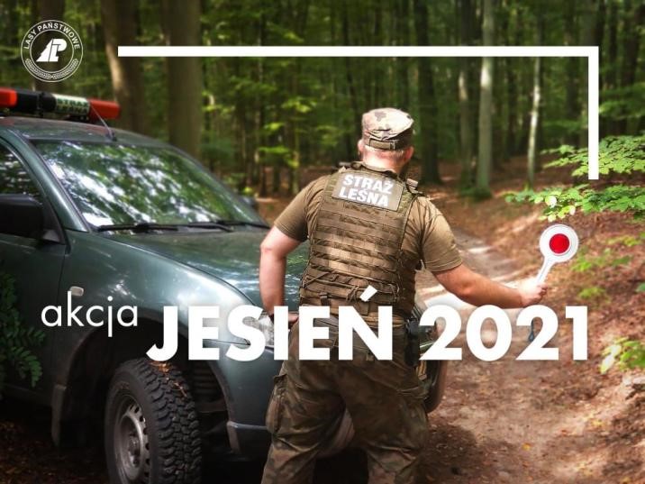 Tysiące strażników leśnych rozpocznie patrole. Rozpoczyna się akcja o kryptonimie " Akcja Jesień 2021" - Zdjęcie główne