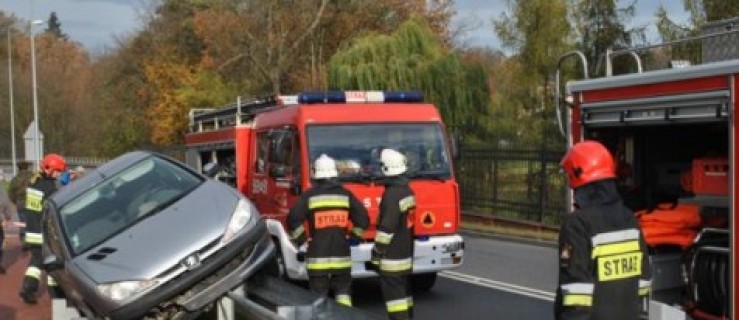 Gołuchów. Zawisł na barierce - Zdjęcie główne