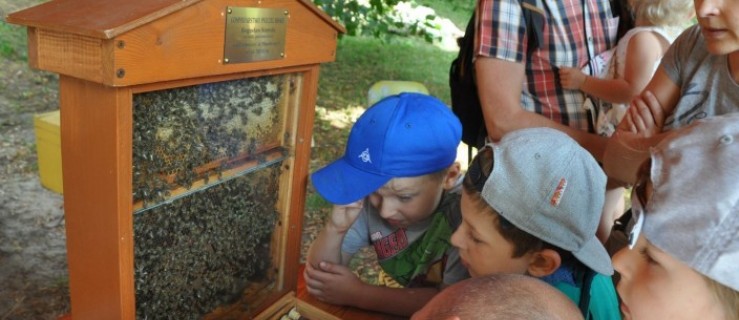 Gołuchów. Poznali życie pszczół z bliska - Zdjęcie główne