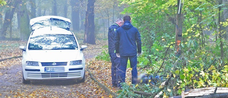 Zwłoki w parku. Na miejscu pracuje policja - Zdjęcie główne