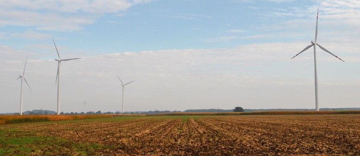 Zarobią więcej na wiatrakach? - Zdjęcie główne