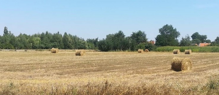 Wciąż dochodzi do wypadków w rolnictwie... - Zdjęcie główne