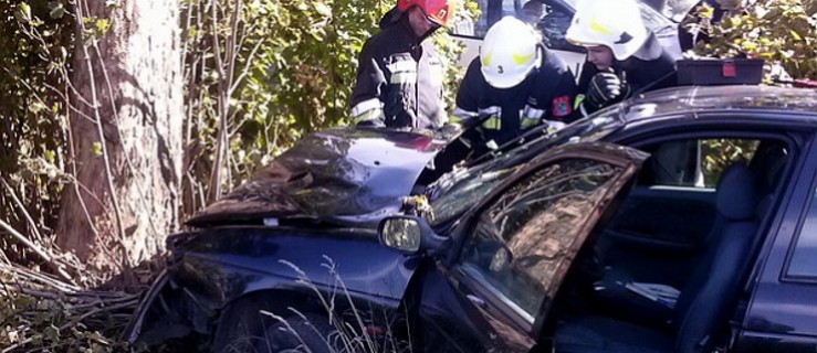 Wypadł z drogi i uderzył w drzewo - Zdjęcie główne