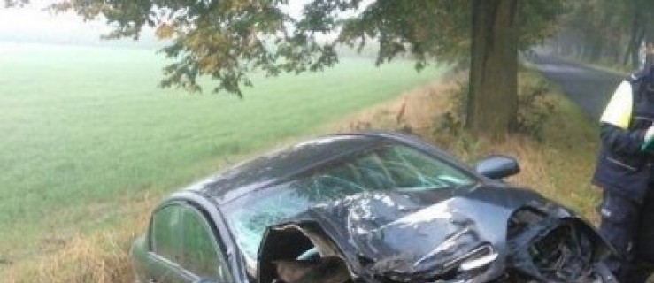 Auto uderzyło w drzewo - Zdjęcie główne