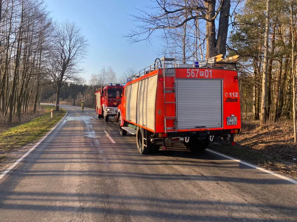 Pożar przy drodze wojewódzkiej w gminie Chocz [ZDJĘCIA] - Zdjęcie główne