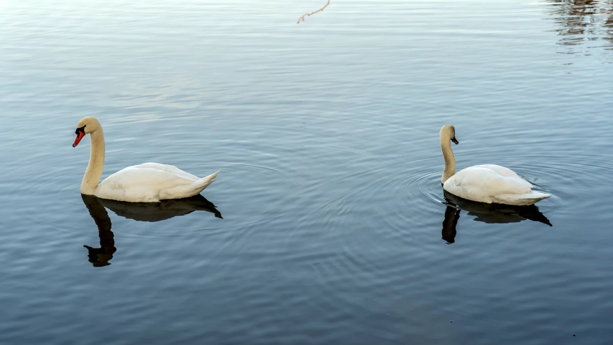 Dzień dobry Pleszew! Dziś wtorek, 24 marca 2026 roku
