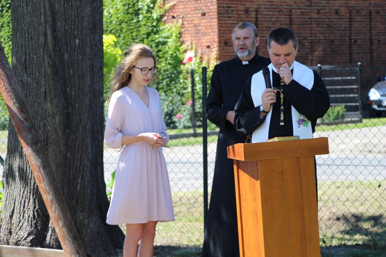 sośniczka krzyż - Zdjęcie główne