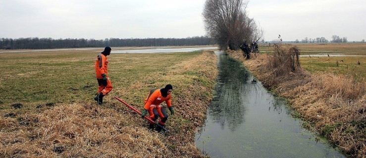 W rowie koło Zakrzewa znaleziono zwłoki kobiety - Zdjęcie główne