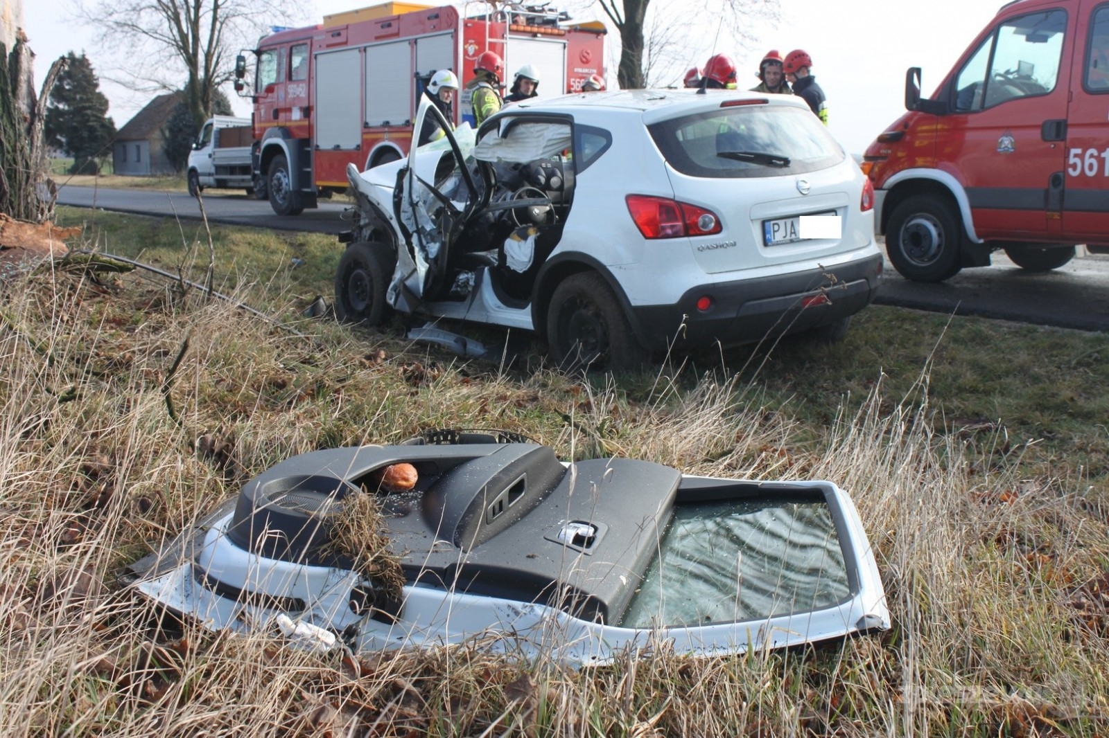Uderzyła w drzewo - Zdjęcie główne