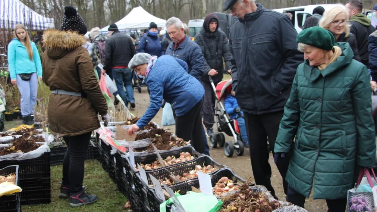 AGROMARSZ 2025. Co czeka na odwiedzających wiosenne targi w Marszewie? - Zdjęcie główne