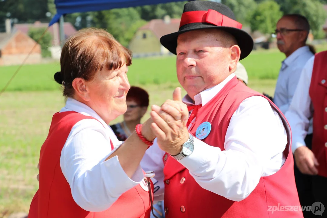 Będzie kolejna biesiada seniorów w Strzyżewie [ZDJĘCIA] - Zdjęcie główne