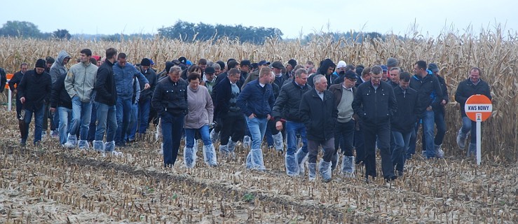 Wielkopolski Dzień Kukurydzy w Baranówku - Zdjęcie główne