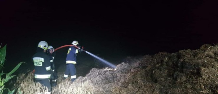 Fabianów. Strażacy w akcji. W nocy doszło do pożaru - Zdjęcie główne
