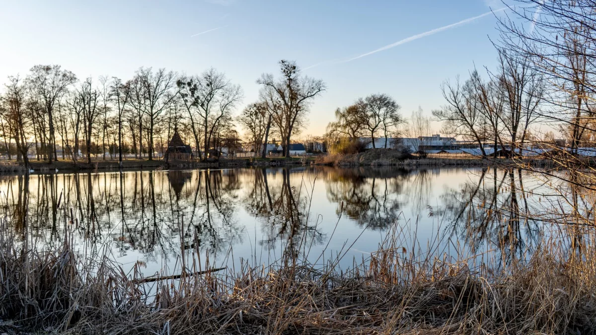 Dzień dobry Pleszew! Dziś czwartek, 26 marca 2026 roku