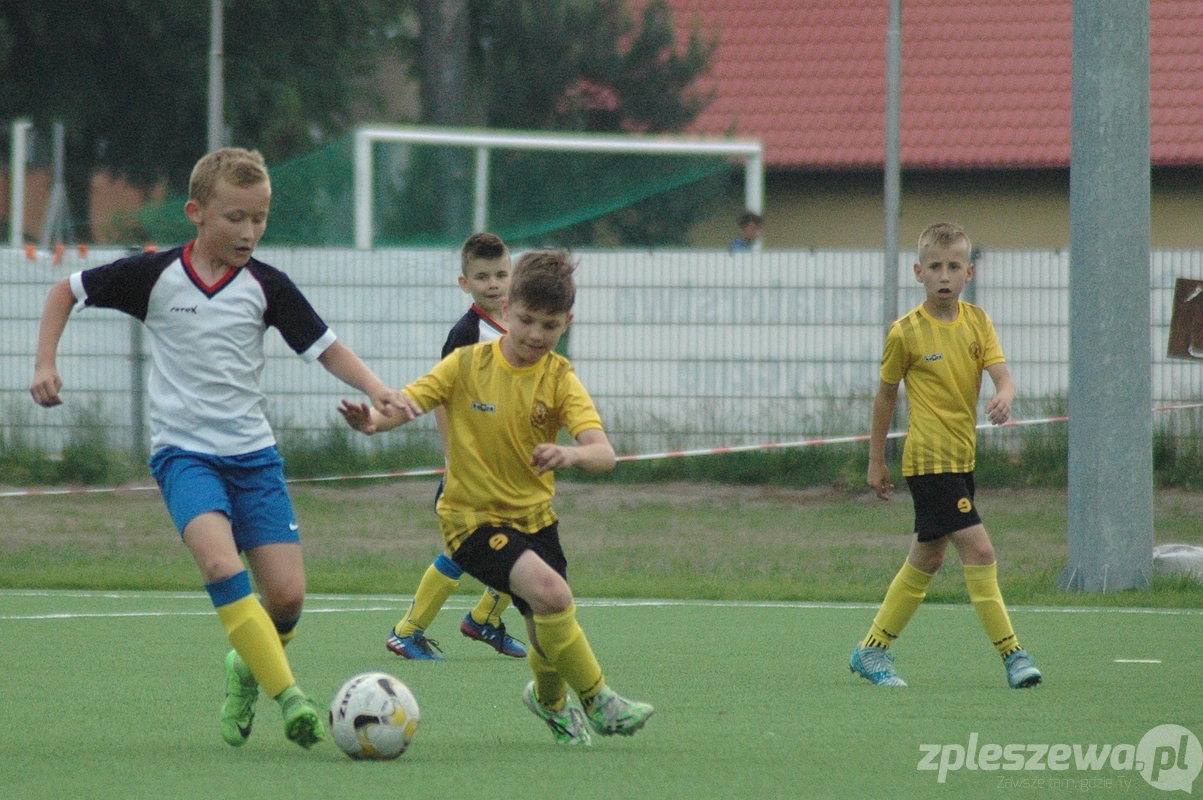 Derby orlików: Stal Pleszew - LKS Gołuchów - Zdjęcie główne