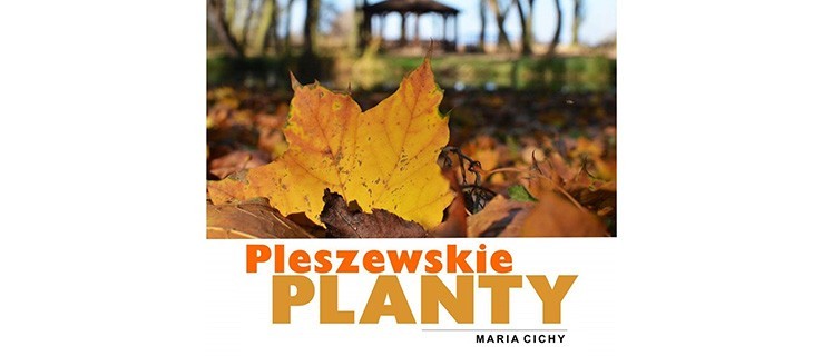 Wystawa Marii Cichy - Pleszewskie Planty - w liceum - Zdjęcie główne