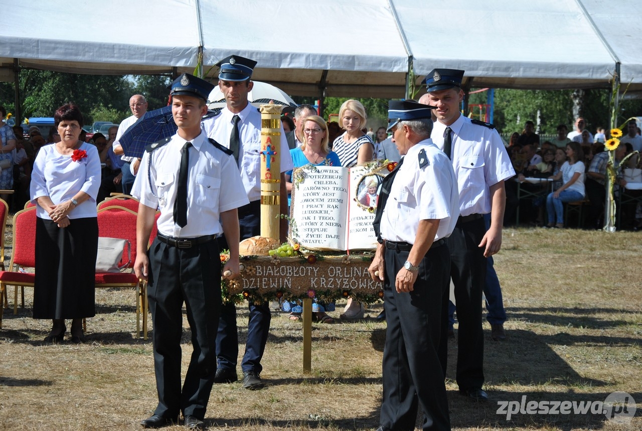 Gizałki. Dożynki gminne - Zdjęcie główne