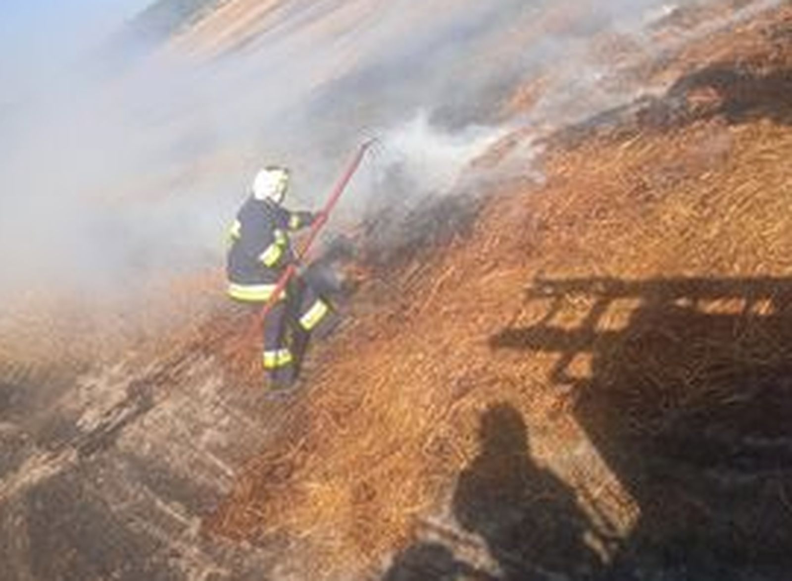 Pożar w Grodzisku. Na miejscu kilka jednostek straży pożarnej [ZDJĘCIA] - Zdjęcie główne