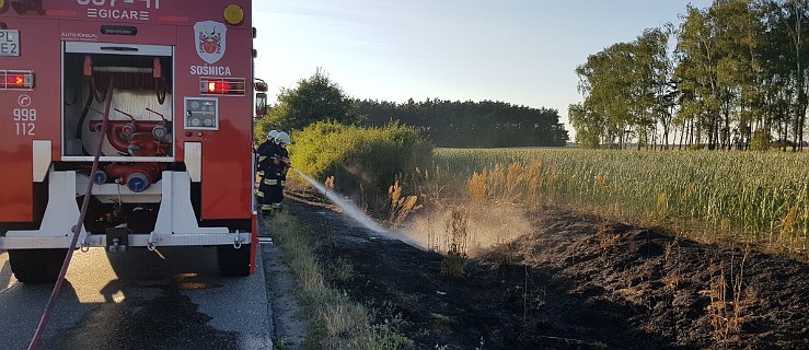 Gmina Dobrzyca. Walczyli z pożarami traw [FOTO] - Zdjęcie główne