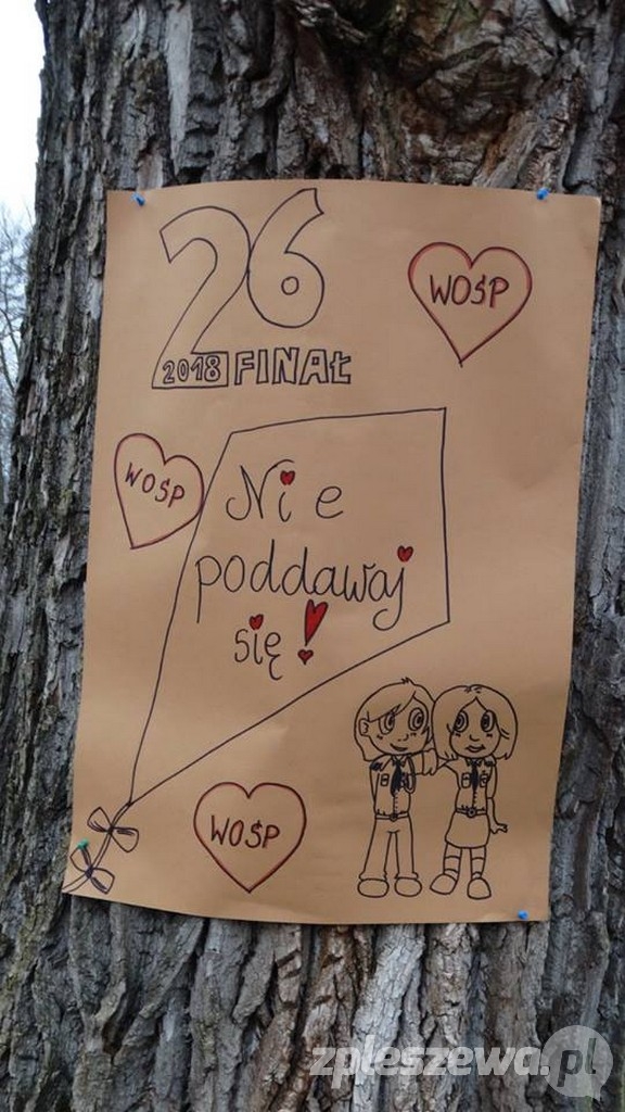 Bieg 2018 cukrzyca - Zdjęcie główne