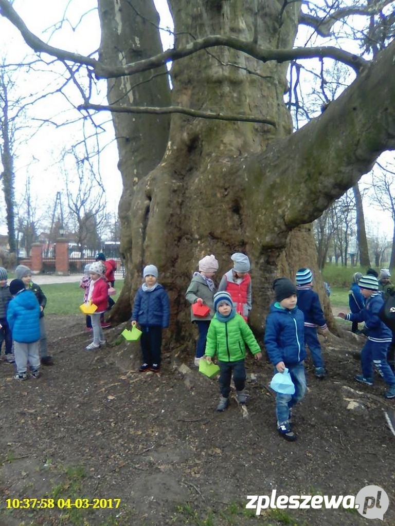 Wycieczka przedszkolaków z „Bajki”  - Zdjęcie główne