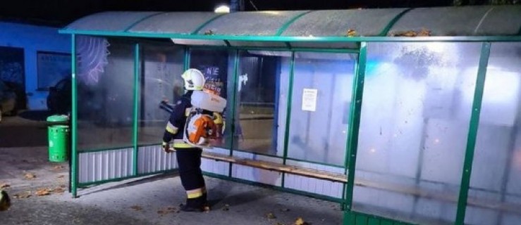 Dobrzyca. Strażacy z OSP będą regularnie dezynfekować miejsca publiczne - Zdjęcie główne