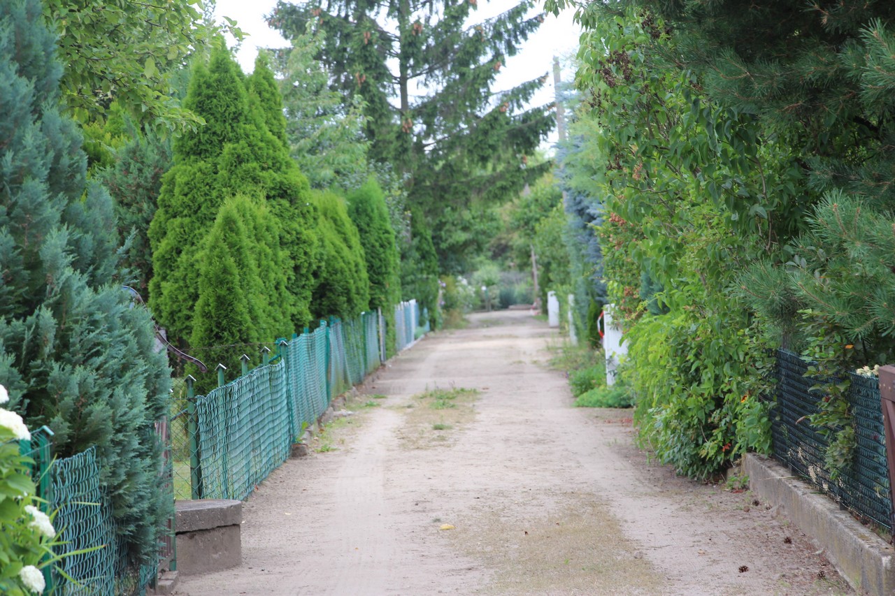 Do zabójstwa doszło na terenie ogrodów działkowych w Pleszewie