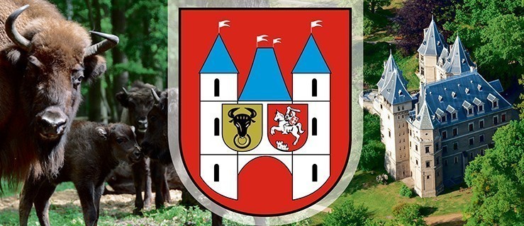 Gołuchów. Trzeba uporządkować Spacerową  - Zdjęcie główne