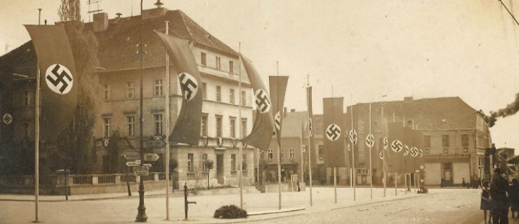 Tropem zbrodni niemieckich w Pleszewie - Zdjęcie główne