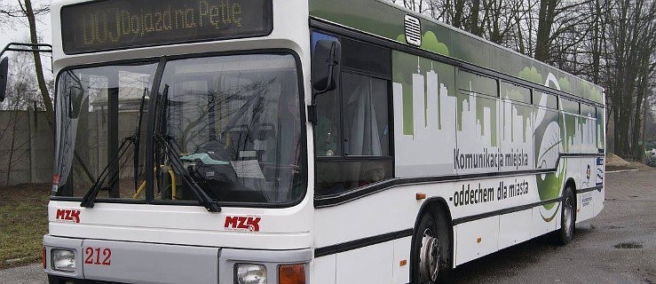 Kolejne dopłaty do autobusów  - Zdjęcie główne