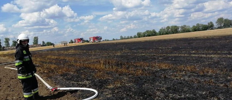 Pierwszy pożar w trakcie żniw - Zdjęcie główne