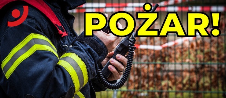 Pożar w tartaku - Zdjęcie główne