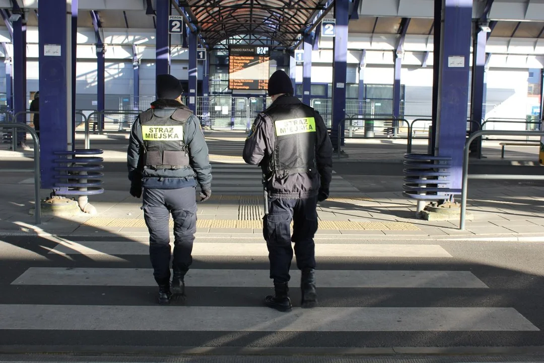 Straż miejska w Poznaniu przyjmuje do pracy. Zobacz, jakie są wymagania - Zdjęcie główne