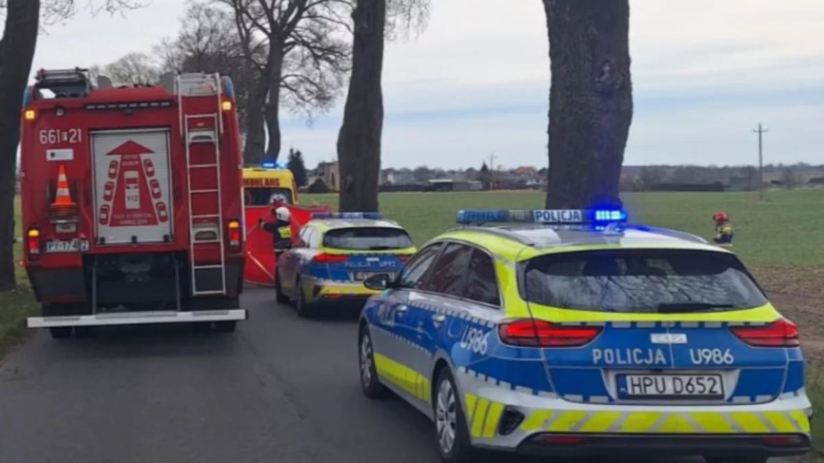 Tragedia na drodze w Wielkopolsce. W wypadku zginął 42-latek