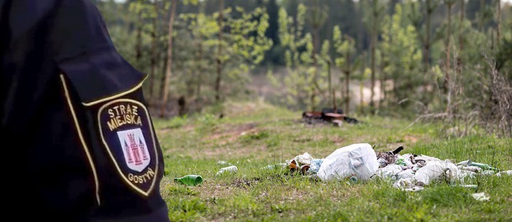 Gruz podrzuciła do lasu. Sprawą zajęła się straż miejska. Jest winna, jest i słuszna kara - Zdjęcie główne