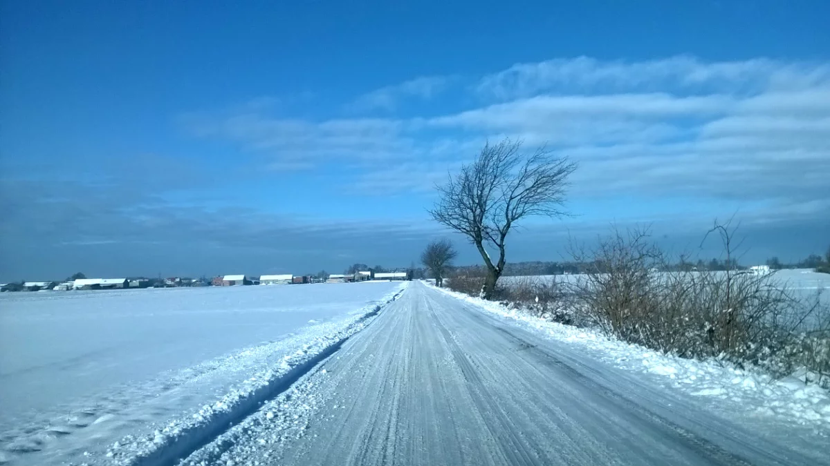 Jest szansa, że w Wielkopolsce zrobi się biało. Na drogach może być ślisko - Zdjęcie główne