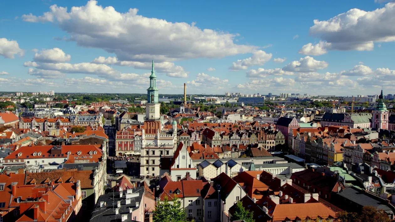 Wiosenna ochrona żab. Poznań wprowadza ograniczenia w ruchu drogowym - Zdjęcie główne