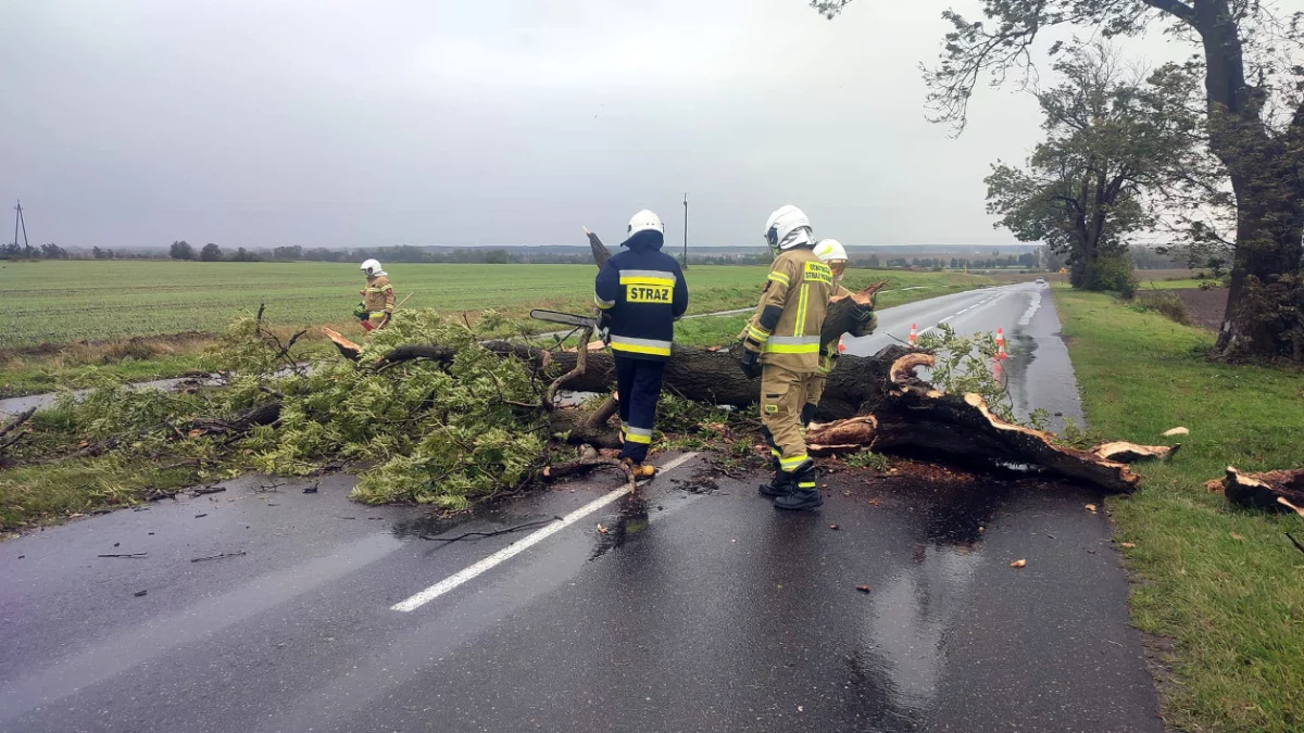 Wichury w Wielkopolsce. Zerwane dachy, powalone drzewa, zniszczone samochody - Zdjęcie główne