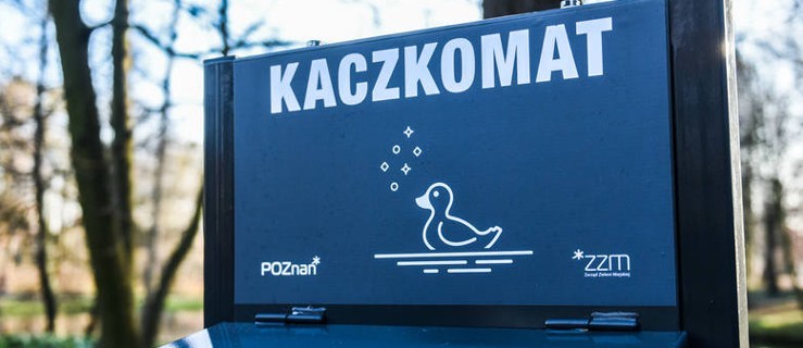 Kaczkomat stanął w Poznaniu. O co chodzi? - Zdjęcie główne