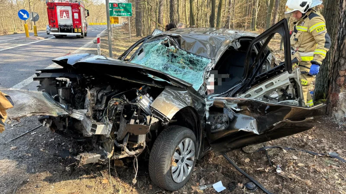 Poważny wypadek na S11. Strażacy musieli rozcinać wrak